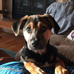 Meet your Posher, Allison